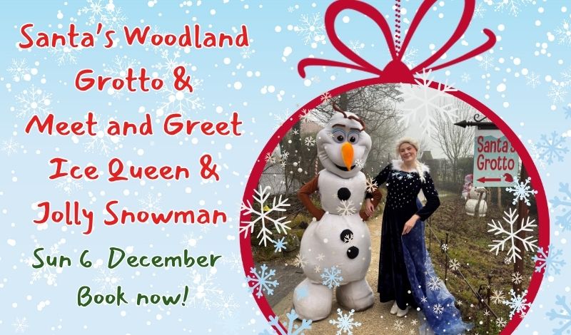 Meet and Greet Ice Queen and Jolly Snowman article image